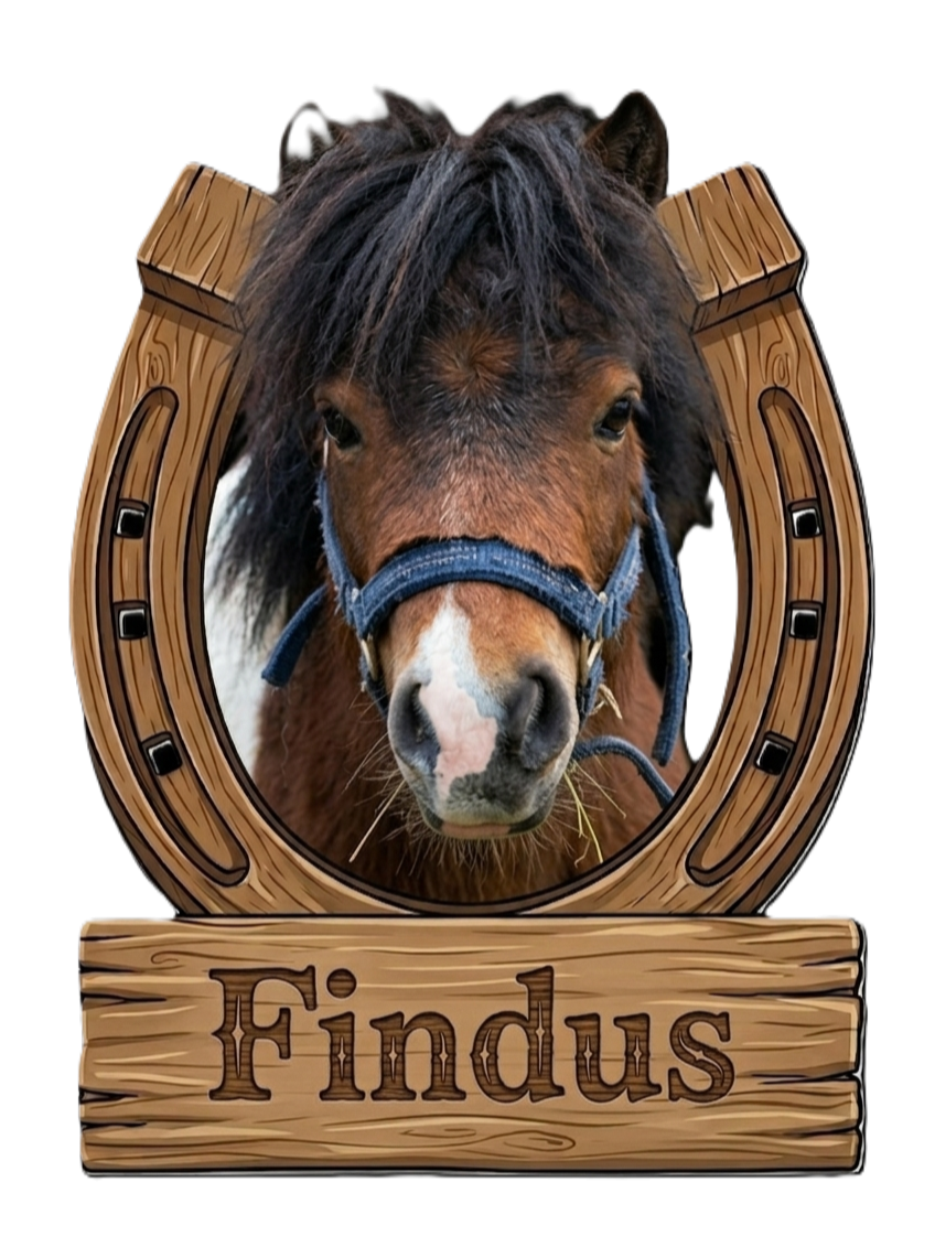 Findus