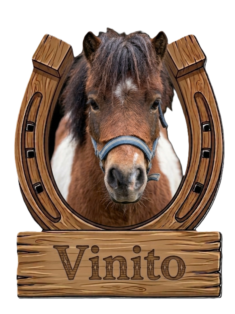 vinito