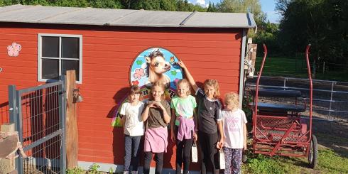 WhatsApp Image 2026-02-26 at 17.04.46