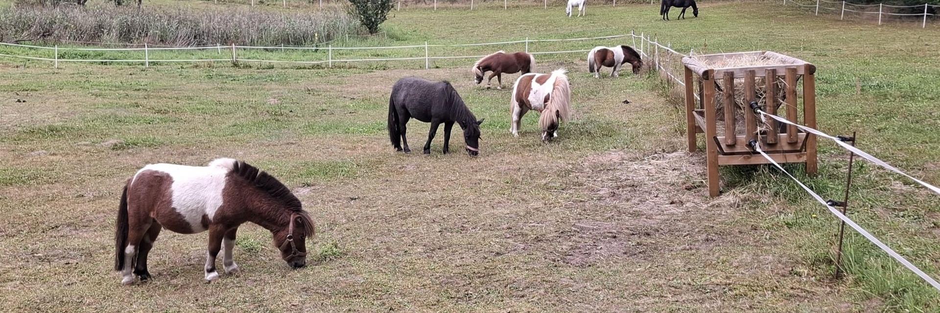 WhatsApp Image 2026-02-26 at 17.14.28